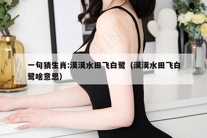 一句猜生肖:漠漠水田飞白鹭（漠漠水田飞白鹭啥意思）