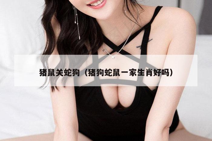 猪鼠关蛇狗（猪狗蛇鼠一家生肖好吗）